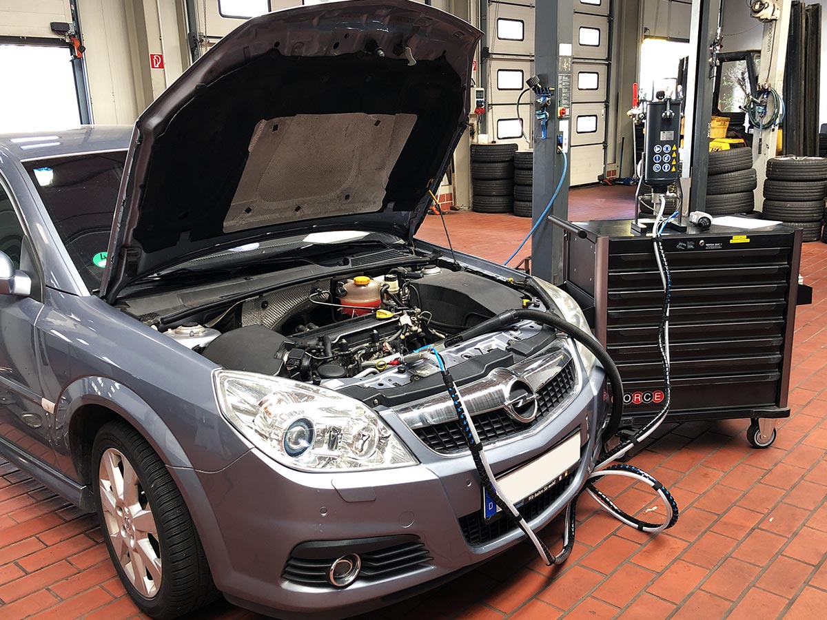 nussschalenreinigung